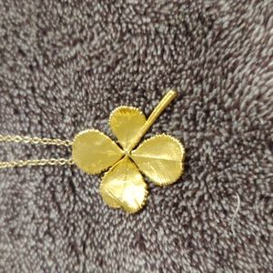 Happy St. Patrick's Day!